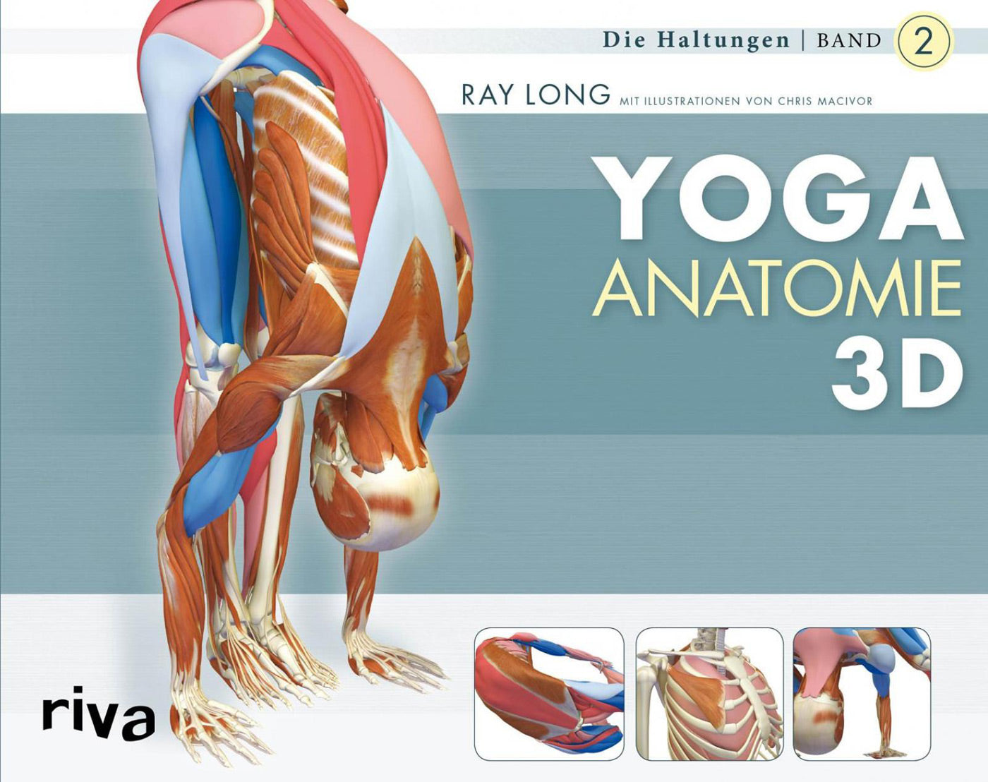 Yoga Anatomie 3D, Band 2 von Ray Long - YOGISHOP